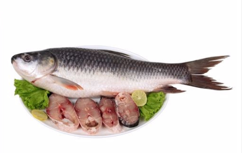 ROHU -per FISH (4.2kg to 4.6Kg)