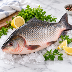 Katla (Per Fish)