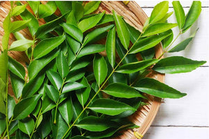 FRESH CURRY LEAVES
