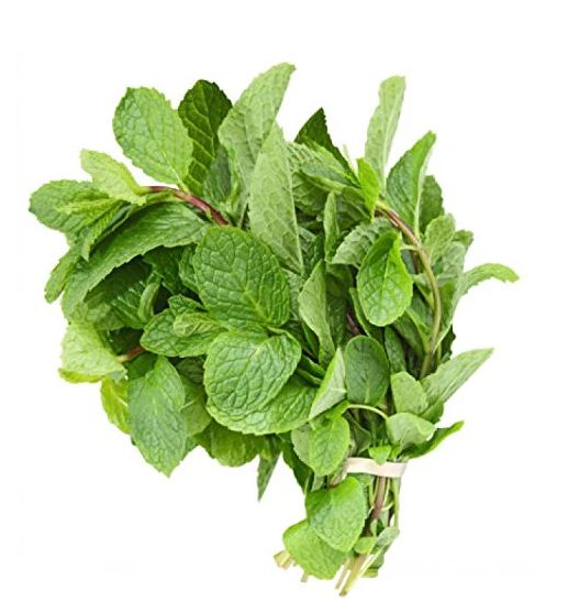 Bunch of Mint Leaves