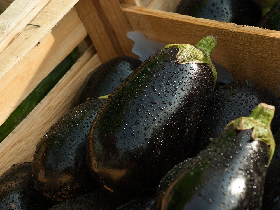 1kg of FRESH Eggplant