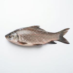 Rohu (Per Fish)